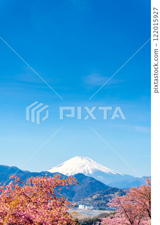Mount Fuji, Kawazu cherry blossoms and Mount Matsuda 122015927