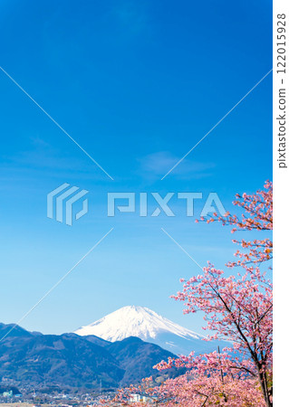 Mount Fuji, Kawazu cherry blossoms and Mount Matsuda 122015928