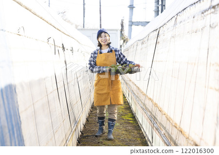 婦女種植幼苗 122016300