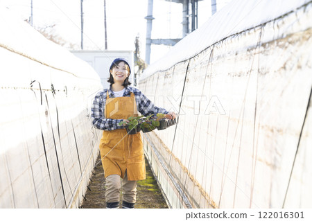 婦女種植幼苗 122016301