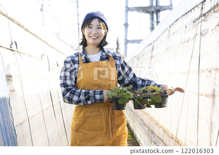 婦女種植幼苗 122016303