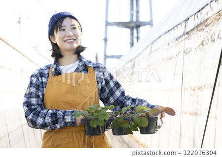 Woman growing seedlings 122016304