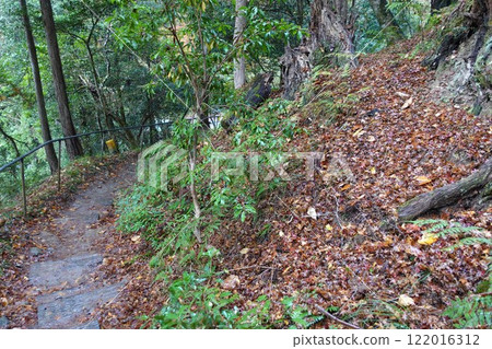 Kyoto Kurama Temple, Mount Kurama, steep slope pilgrimage 122016312