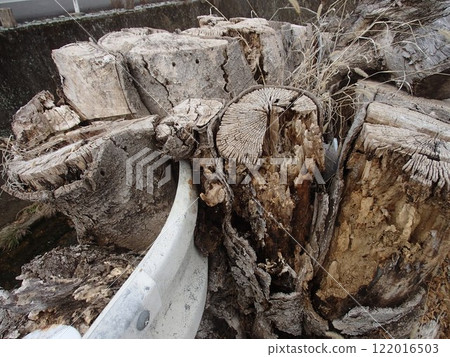 里山 里山 122016503