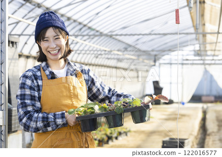 婦女種植幼苗 122016577