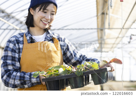 種植草莓苗的婦女 122016603