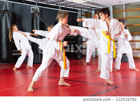 Boys and girls in kimono sparring together 122016702