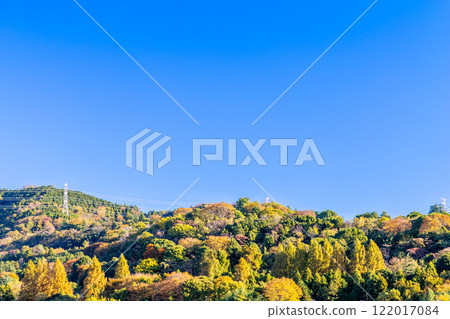 A mountain with autumn leaves and a blue sky A mountain with autumn leaves and a blue sky 122017084