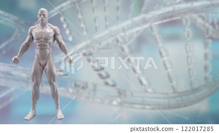 The Human anatomy for medical or education concept 3d rendering. 122017285