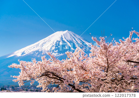 富士山和盛開的櫻花 122017378