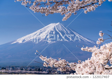 日本的春天：富士山和櫻花盛開 122017407