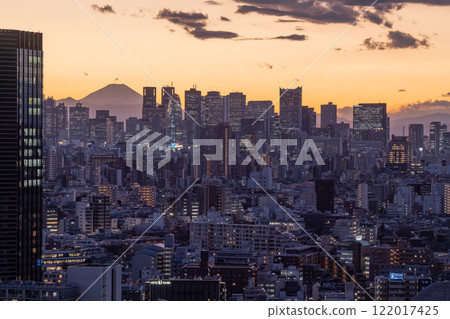 Tokyo: City night view overlooking the Skytree 122017425