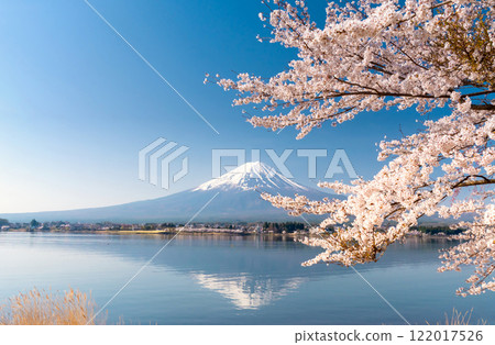富士山和櫻花盛開,河口湖畔的倒富士 富士山和櫻花盛開,河口湖畔的倒富士 122017526
