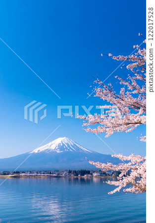 Mt. Fuji and cherry blossoms in full bloom - Inverted Mt. Fuji on the shores of Lake Kawaguchi 122017528