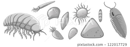 Fascinating Microscopic Marine Life Forms Fascinating Microscopic Marine Life Forms 122017729