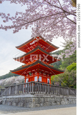 盛開的櫻花和清水寺小安塔 122017990