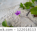 沖繩縣座間味島海間海灘盛開的花朵 122018113
