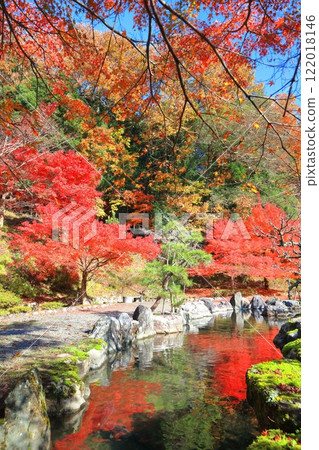 [Shiga Prefecture] Autumn leaves at Ishido-ji Temple on a clear day (Keisoku-ji Temple) 122018146