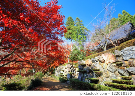 [Shiga Prefecture] Autumn leaves at Ishido-ji Temple on a clear day (Keisoku-ji Temple) 122018150