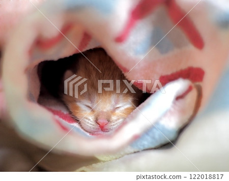 好可愛(·∀·)! 好可愛(·∀·)! 122018817