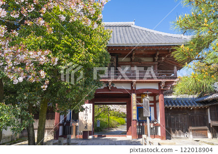 Spring in Kyoto: Honpoji Temple, cherry blossoms and Niomon Gate 122018904