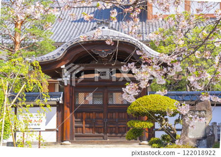 Spring in Kyoto: Honpoji Temple's Karamon Gate surrounded by cherry blossoms 122018922