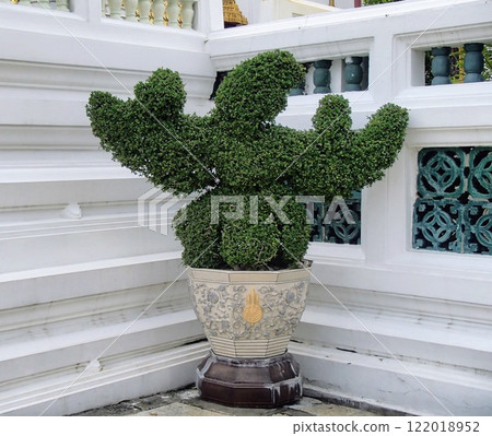 Trees at Wat Phra Kaew 122018952