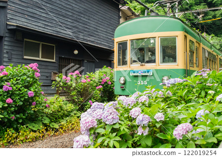 雨季形象〜繡球花和Enano電子〜 122019254