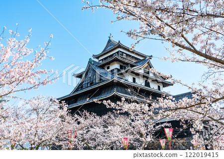 島根縣松江市，盛開的櫻花和國寶松江城塔 122019415