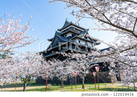 島根縣松江市，盛開的櫻花和國寶松江城塔 122019416
