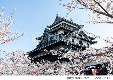 島根縣松江市，盛開的櫻花和國寶松江城塔 122019417