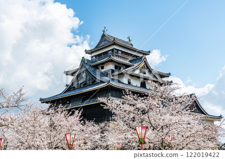 島根縣松江市，盛開的櫻花和國寶松江城塔 122019422