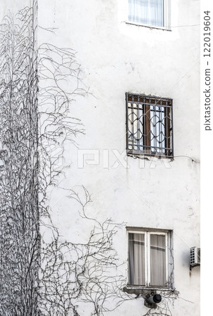 The loaches on the wall 122019604