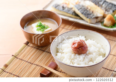 紀州南古梅梅子飯 122020312