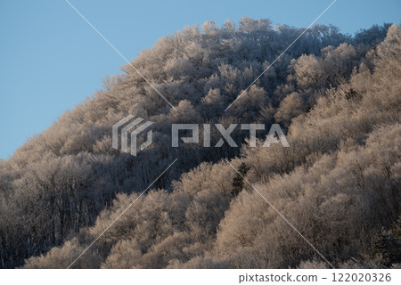 Winter scenery, hoarfrost 122020326
