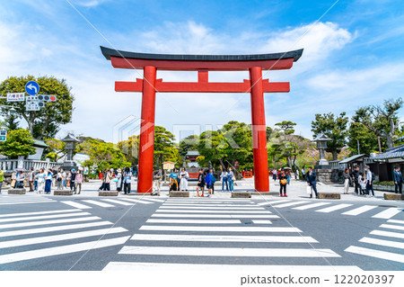 [Kanagawa Prefecture] The large torii gate of Tsurugaoka Hachimangu Shrine under a refreshing blue sky 122020397