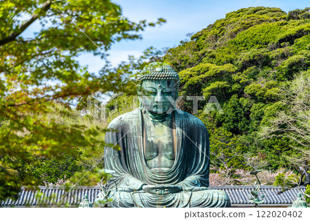 【神奈川縣】綠樹環繞的鎌倉大佛 【神奈川縣】綠樹環繞的鎌倉大佛 122020402