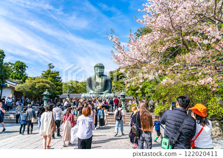 【神奈川縣】美麗的櫻花與鎌倉大佛 【神奈川縣】美麗的櫻花與鎌倉大佛 122020411