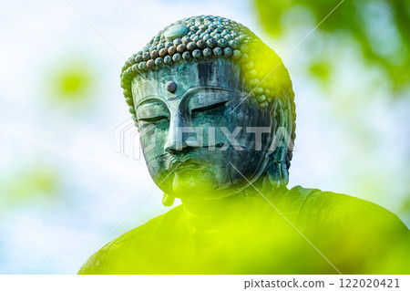 [神奈川縣] 透過新綠看到鎌倉大佛 122020421