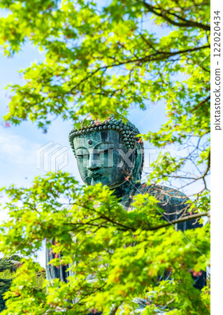 [Kanagawa Prefecture] The Great Buddha of Kamakura seen through the fresh greenery 122020434