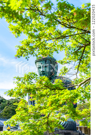 [Kanagawa Prefecture] The Great Buddha of Kamakura seen through the fresh greenery 122020435
