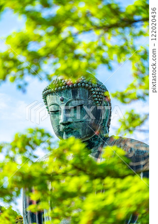[Kanagawa Prefecture] The Great Buddha of Kamakura seen through the fresh greenery 122020436
