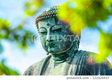[Kanagawa Prefecture] The Great Buddha of Kamakura seen through the fresh greenery 122020437