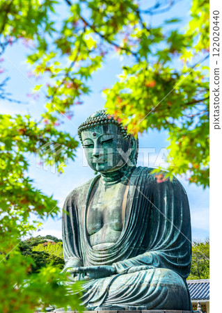 [Kanagawa Prefecture] The Great Buddha of Kamakura surrounded by fresh greenery 122020440