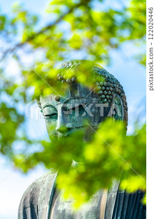 [神奈川縣] 透過新綠看到鎌倉大佛 122020446