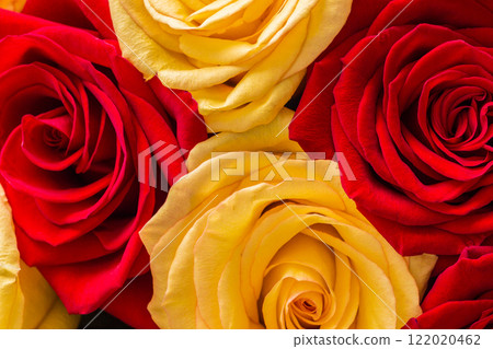 Bouquet of roses 122020462