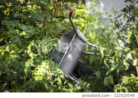 The garden trolley The garden trolley 122020546