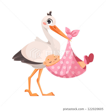 Stork Carry Baby in Wrap with Beak Vector Illustration 122020605