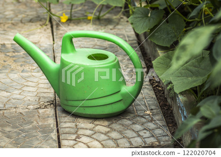 Watering can on the garden path Watering can on the garden path 122020704