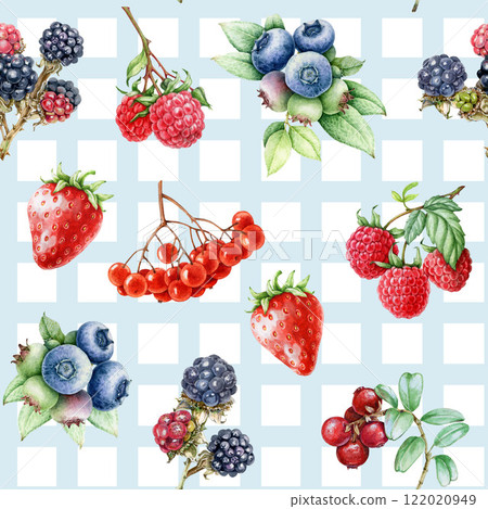 Fresh garden berries on light-blue color checkered background seamless pattern. Hand drawn blueberry, raspberry, strawberry, blackberry berries vintage style illustration seamless pattern element Fresh garden berries on light-blue color checkered background seamless pattern. Hand drawn blueberry, raspberry, strawberry, blackberry berries vintage style illustration seamless pattern element 122020949